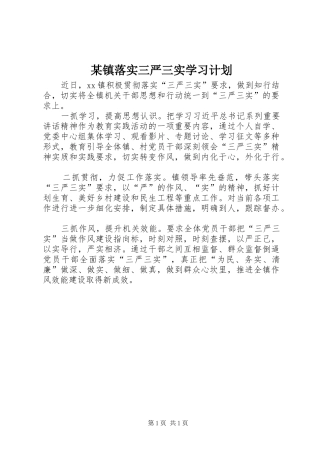 某镇落实三严三实学习计划