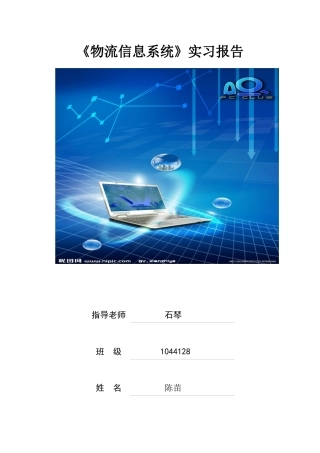 物流信息系统实习报告