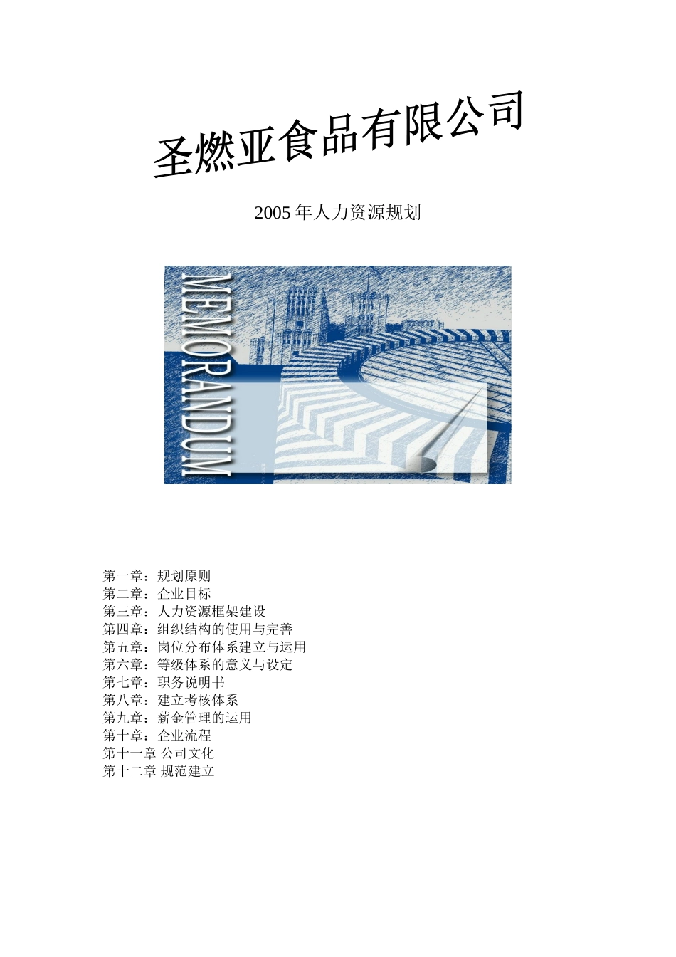 某某公司人力资源规划原则_第1页