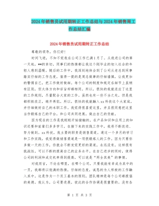2024年销售员试用期转正工作总结与2024年销售周工作总结汇编