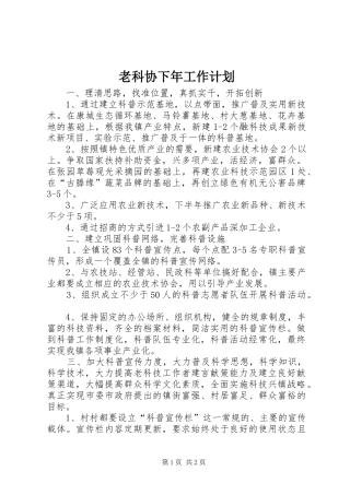 老科协下年工作计划