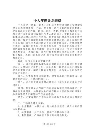 个人年度计划表格