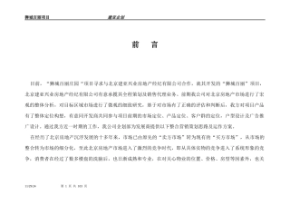 狮城百丽项目企划