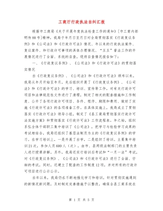 工商厅行政执法自纠汇报