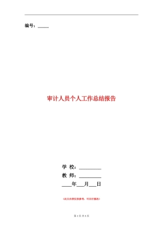 审计人员个人工作总结报告