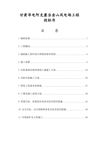 甘肃华电阿克塞当金山风电场工程投标书