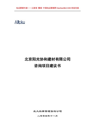 王家荣某咨询—北京某建材公司咨询项目计划书