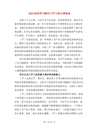 2024如何学习践行三严三实心得体会