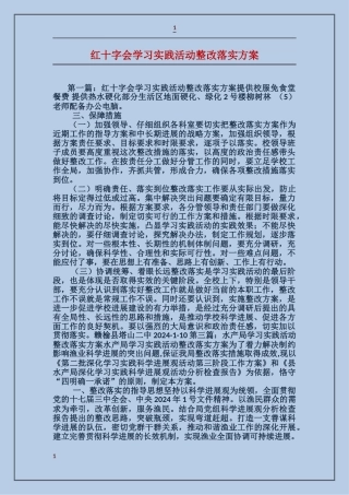红十字会学习实践活动整改落实方案