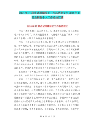2024年IT职员试用期转正工作总结范文与2024年IT行业销售个人工作总结汇编
