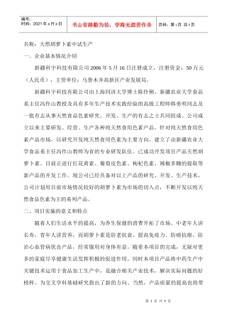 特色轻工项目申请表例本