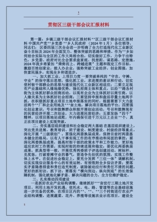 贯彻区三级干部会议汇报材料