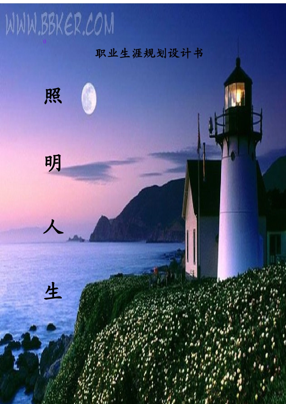 职业生涯规划赛优秀作品2_第1页