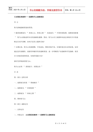 王志刚经典案例——成都牧马山战略规划