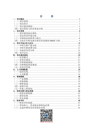 生鲜连锁项目商业计划书