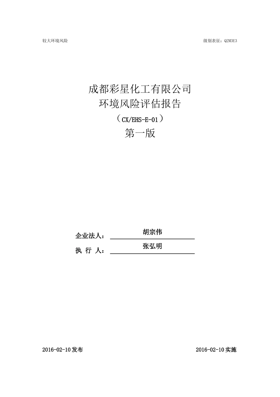 环境风险评估报告(彩星)_第1页