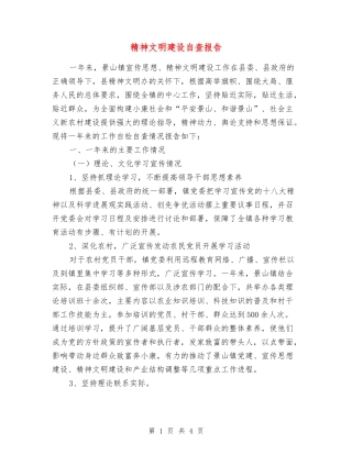 精神文明建设自查报告