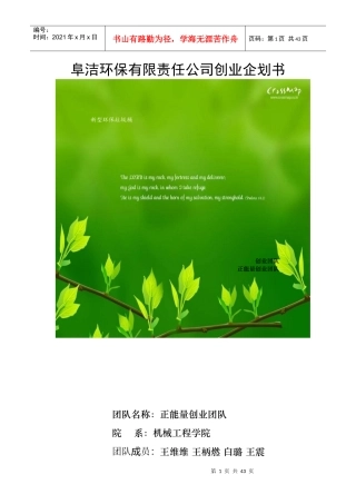 王维维--阜洁环保有限责任公司创业企划书
