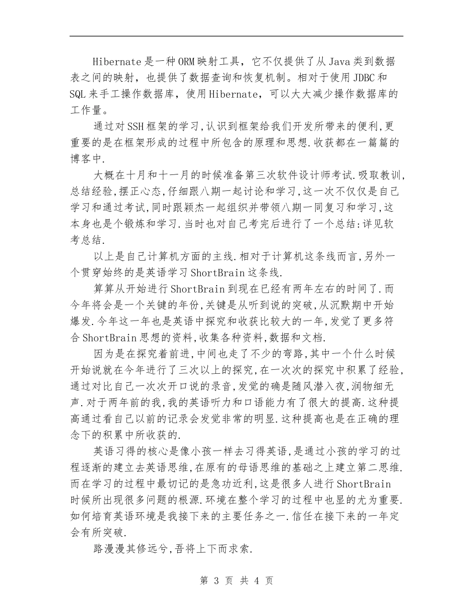 2024最新程序员年度工作总结_第3页