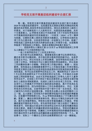 学校党支部开展基层组织建设年自查汇报