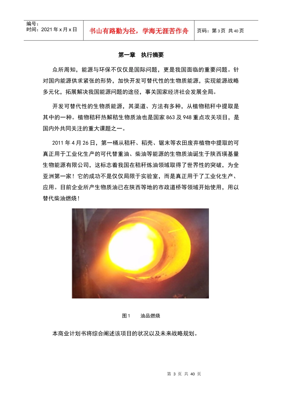 瑛基量项目商业_第3页