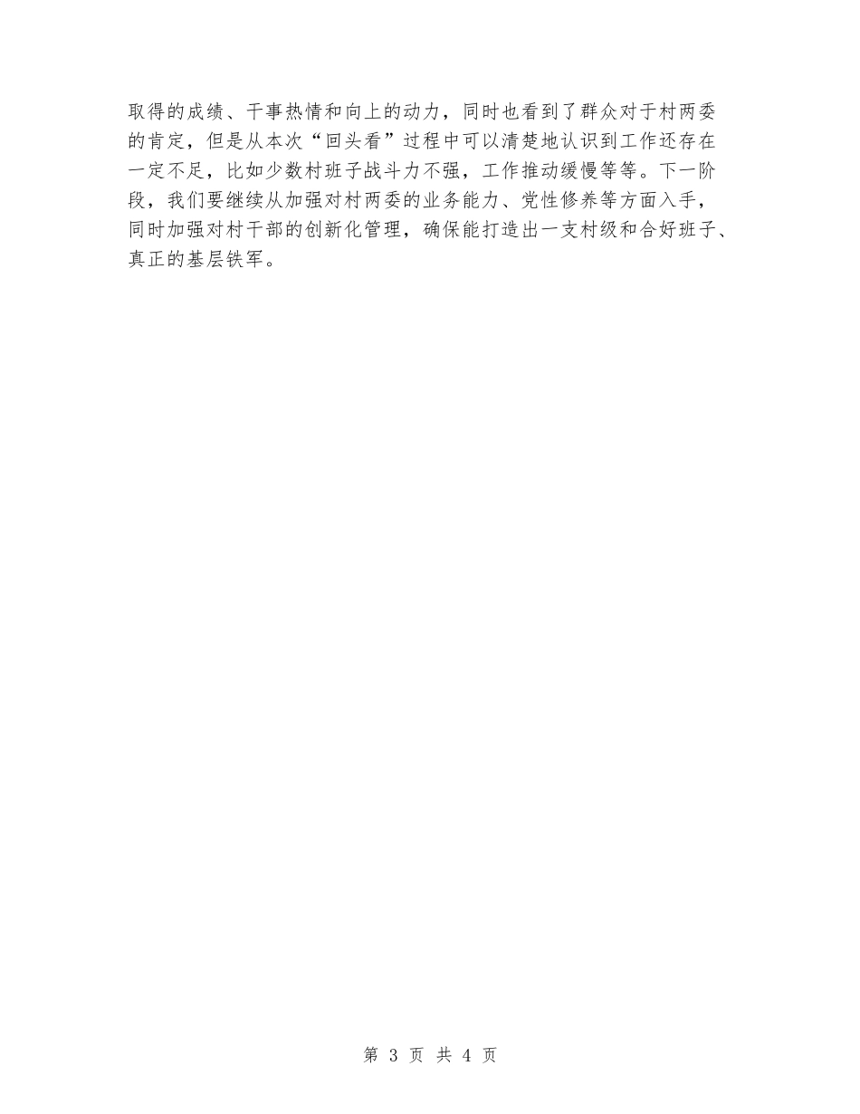 村级组织换届“回头看”工作报告_第3页