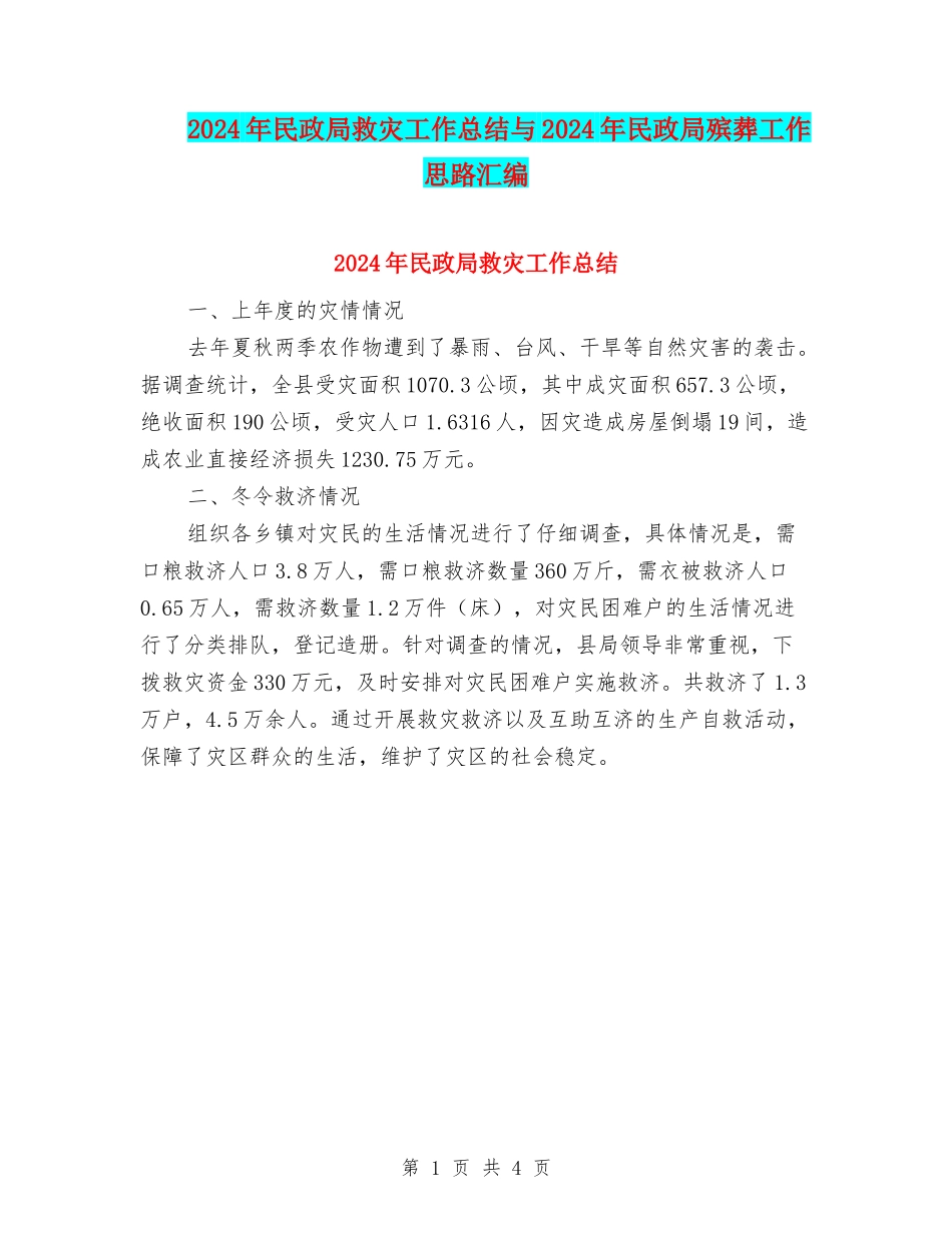2024年民政局救灾工作总结与2024年民政局殡葬工作思路汇编_第1页