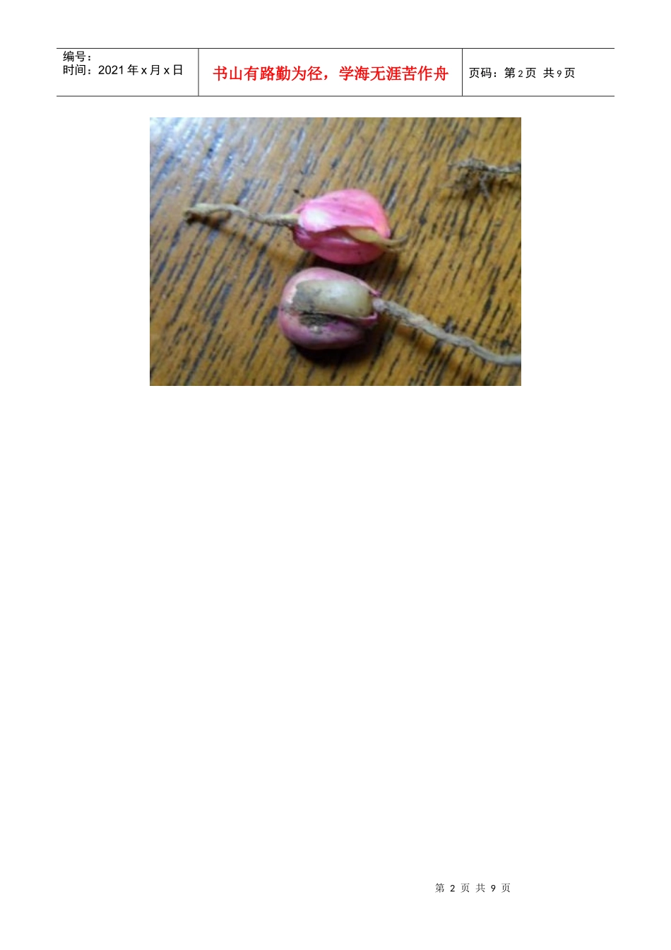 玉米单粒播种的主要风险因素分析_第2页