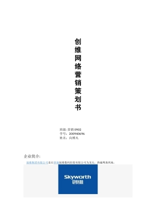 创维网络营销策划书
