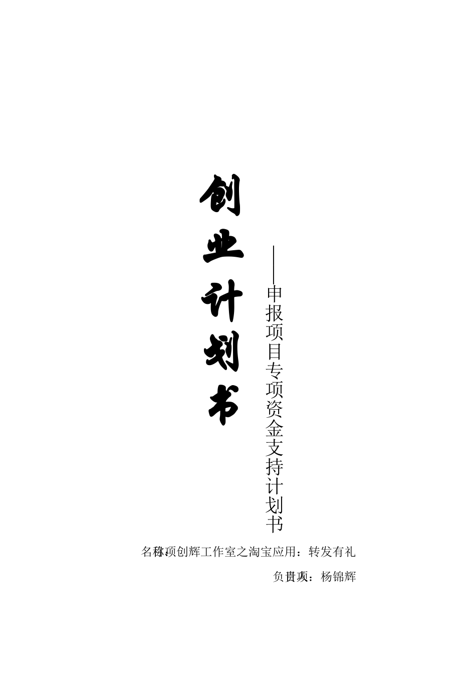 淘宝应用转发有礼创业项目资金申请计划书_第1页