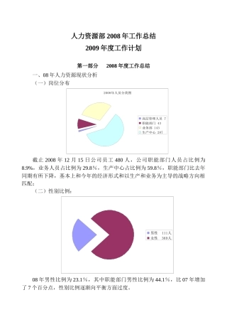 知名企业人力资源规划及总结(范本