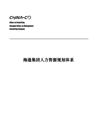 某某集团人力资源规划体系