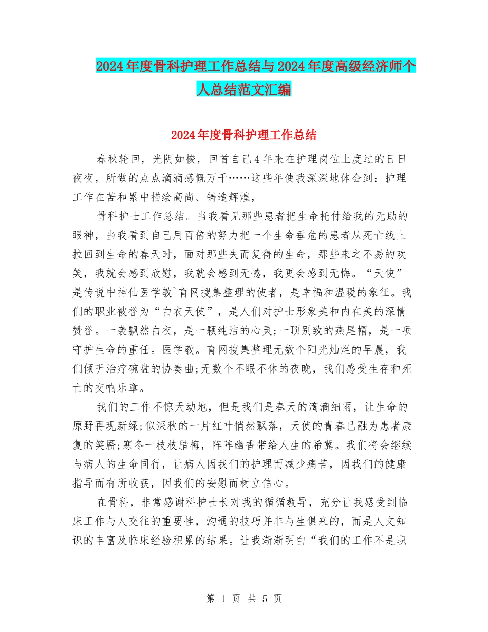 2024年度骨科护理工作总结与2024年度高级经济师个人总结范文汇编_第1页