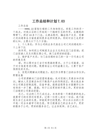 工作总结和计划7.03