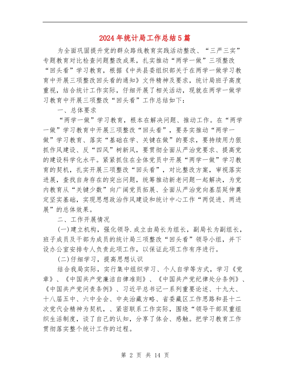 2024年统计局工作总结5篇_第2页