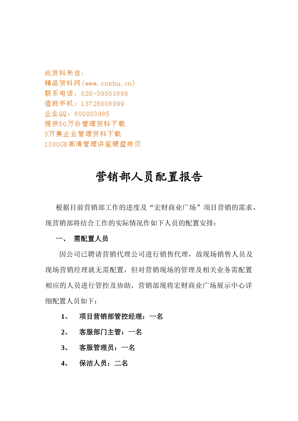 公司营销部人员配置报告_第1页