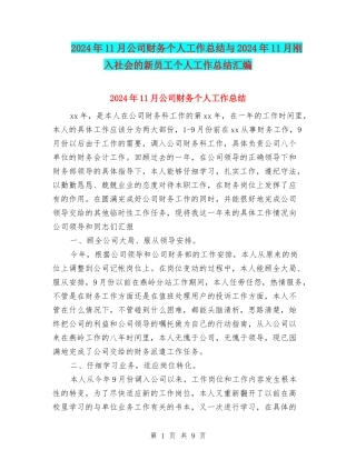 2024年11月公司财务个人工作总结与2024年11月刚入社会的新员工个人工作总结汇编