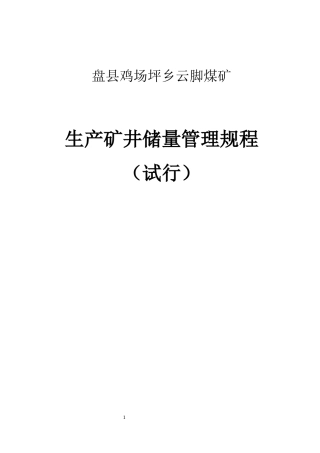 生产矿井储量管理规程(DOCX 41页)