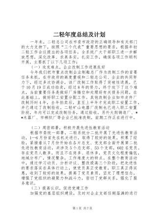 二轻年度总结及计划