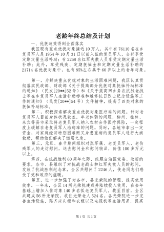 老龄年终总结及计划