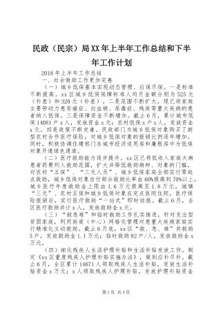 民政（民宗）局XX年上半年工作总结和下半年工作计划