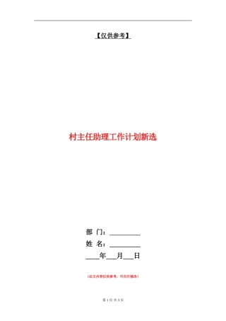 村主任助理工作计划新选