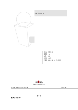 职业发展报告