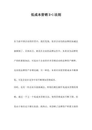 低成本营销X+1法则(1)