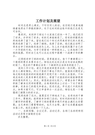 工作计划及展望