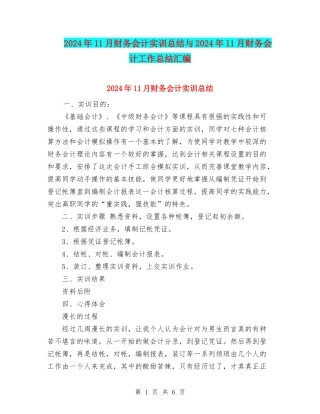 2024年11月财务会计实训总结与2024年11月财务会计工作总结汇编