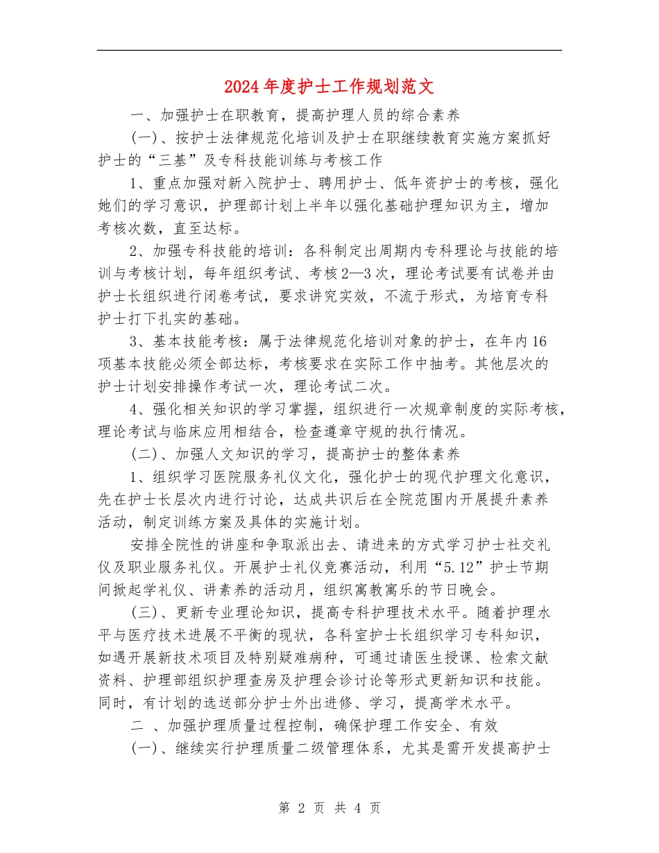 2024年度护士工作规划范文_第2页
