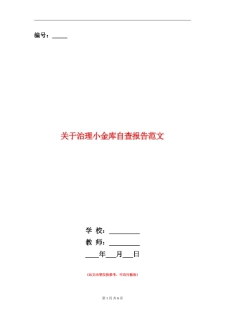 关于治理小金库自查报告范文