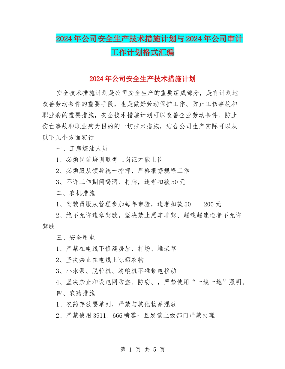 2024年公司安全生产技术措施计划与2024年公司审计工作计划格式汇编_第1页