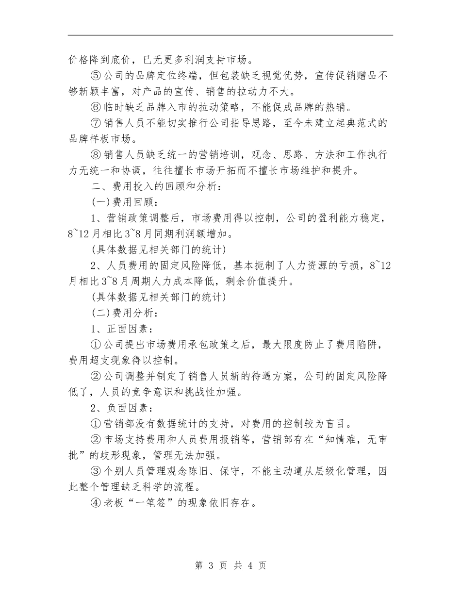 销售总监个人年终工作小结_第3页